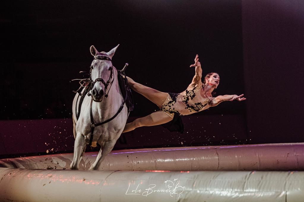 Spectacle équestre
